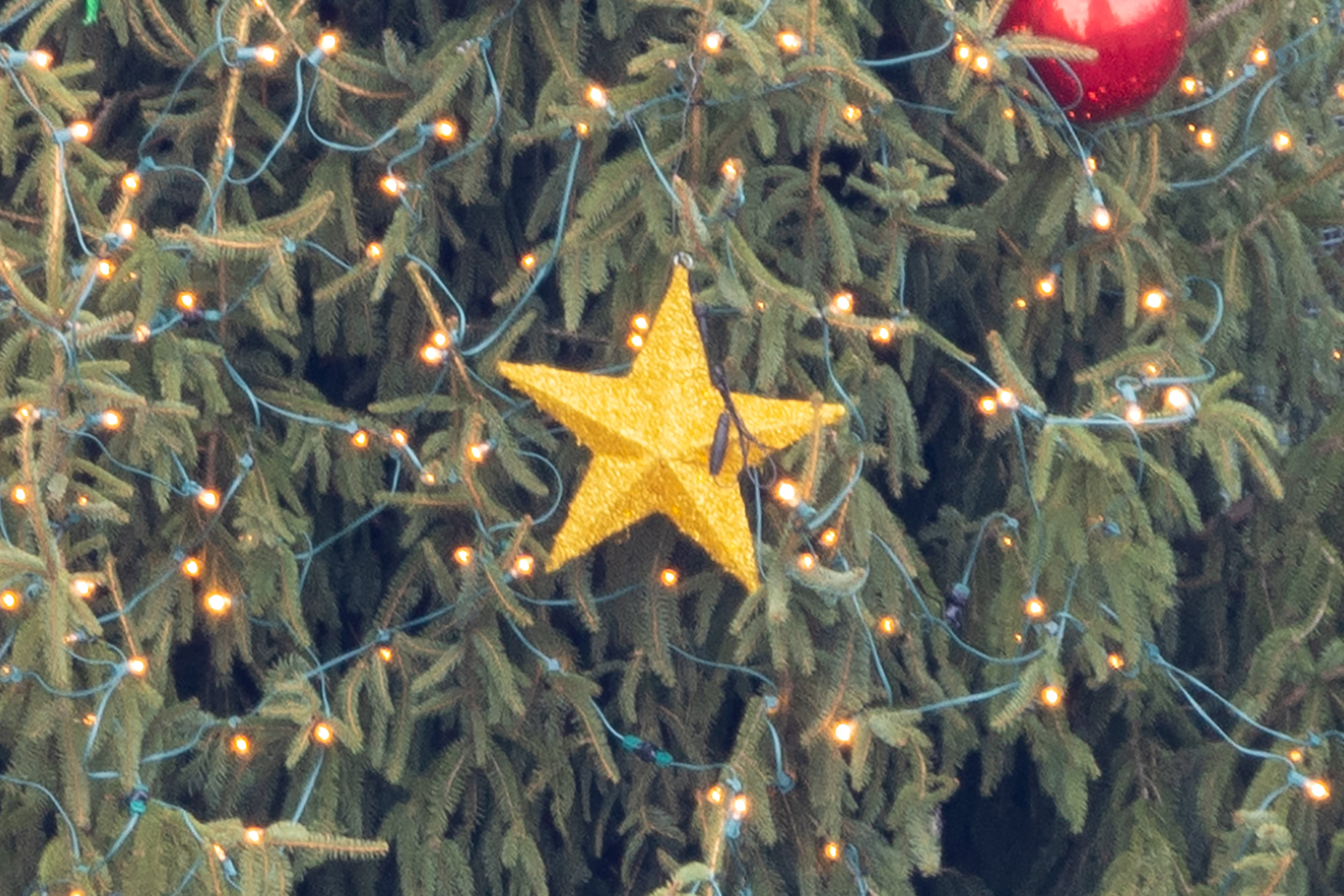 A Christmas tree at Brooklyn Commons photographed at 600mm